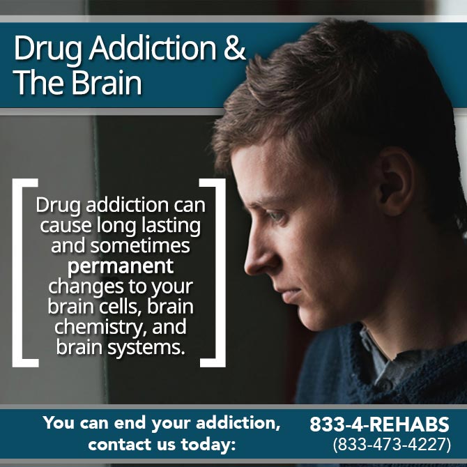 Drug-Addiction-&-The-Brain
