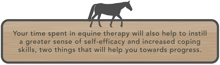 Utilizing Equine Therapy In Addiction Treatment Self Efficacy