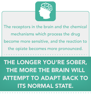 DrugRehab.org Should I Go Back to Rehab after a Drug or Alcohol Relapse_ The Longer You're Sober