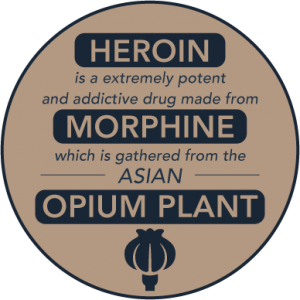 DrugRehab.org What Helps With Heroin Withdrawal_Opium Plant